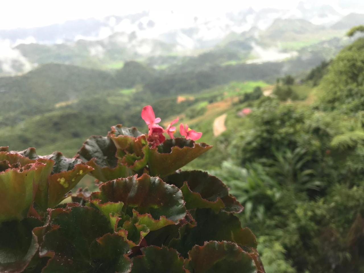 Central Backpackers Hostel Ha Giang Bagian luar foto